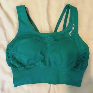 (XS) Teal Gym Shark Sports Bra